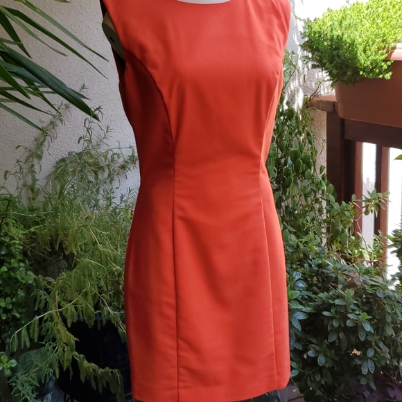 French Connection A-Line Dress with rounded neck - Picture 3 of 13